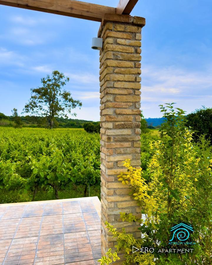 Ferienwohnung Atrium Vinea Brintziki Winery Smila Exterior foto